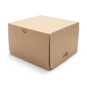 Burger Box Med Kraft (3096)