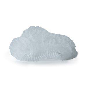 Mop caps Disposable (100 Pack)
